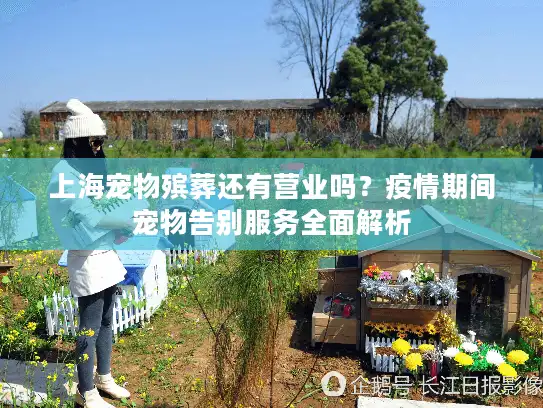 上海宠物殡葬还有营业吗？疫情期间宠物告别服务全面解析
