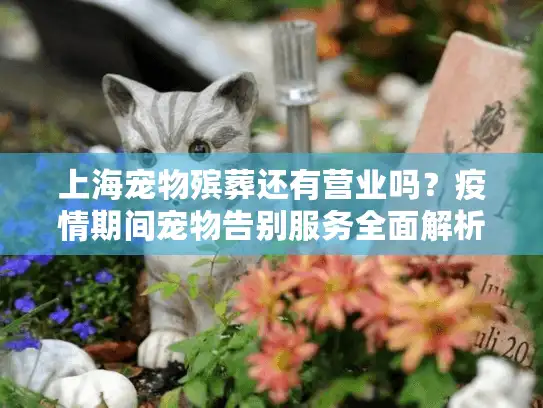 上海宠物殡葬还有营业吗？疫情期间宠物告别服务全面解析