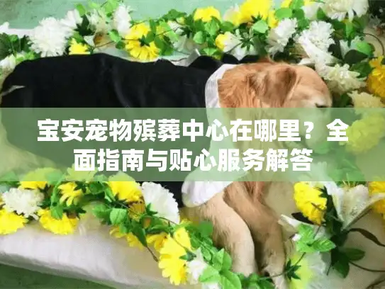 宝安宠物殡葬中心在哪里？全面指南与贴心服务解答