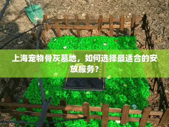 上海宠物骨灰墓地，如何选择最适合的安放服务？