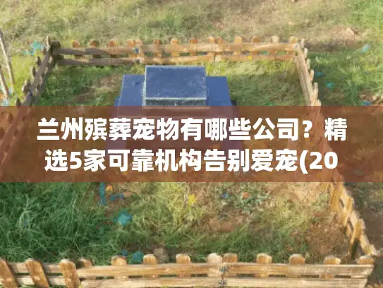 兰州殡葬宠物有哪些公司？精选5家可靠机构告别爱宠(2025最新)