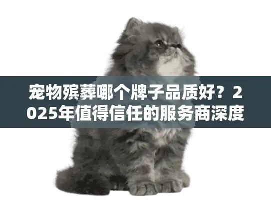 宠物殡葬哪个牌子品质好？2025年值得信任的服务商深度测评