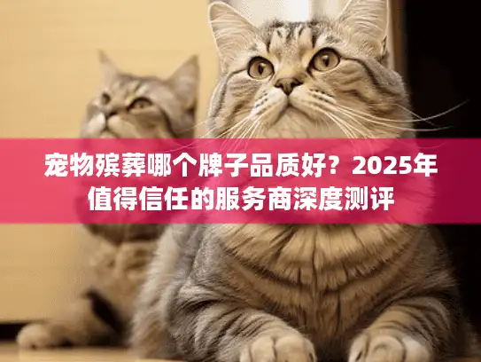 宠物殡葬哪个牌子品质好？2025年值得信任的服务商深度测评
