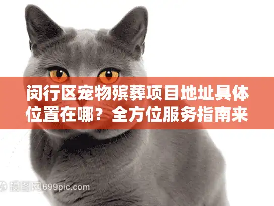 闵行区宠物殡葬项目地址具体位置在哪？全方位服务指南来帮你