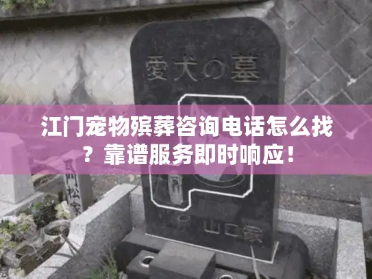 江门宠物殡葬咨询电话怎么找？靠谱服务即时响应！