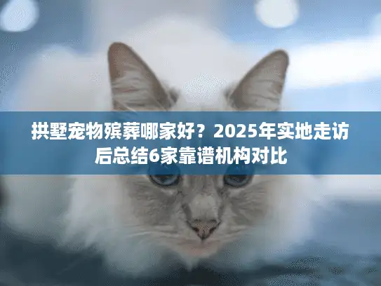 拱墅宠物殡葬哪家好？2025年实地走访后总结6家靠谱机构对比