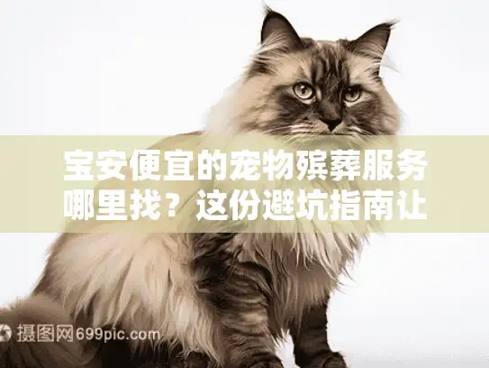 宝安便宜的宠物殡葬服务哪里找？这份避坑指南让你少花冤枉钱