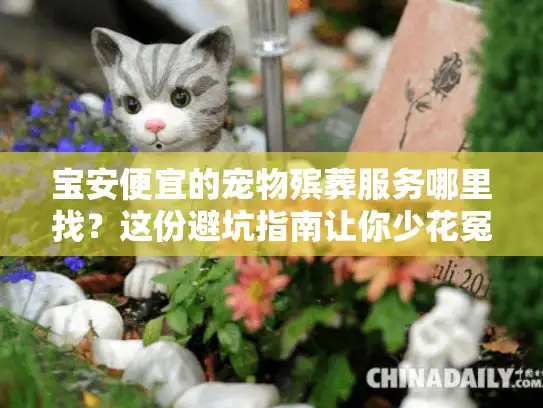宝安便宜的宠物殡葬服务哪里找？这份避坑指南让你少花冤枉钱
