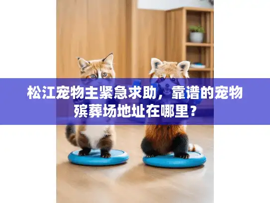松江宠物主紧急求助，靠谱的宠物殡葬场地址在哪里？