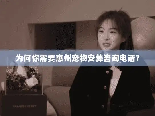 为何你需要惠州宠物安葬咨询电话？