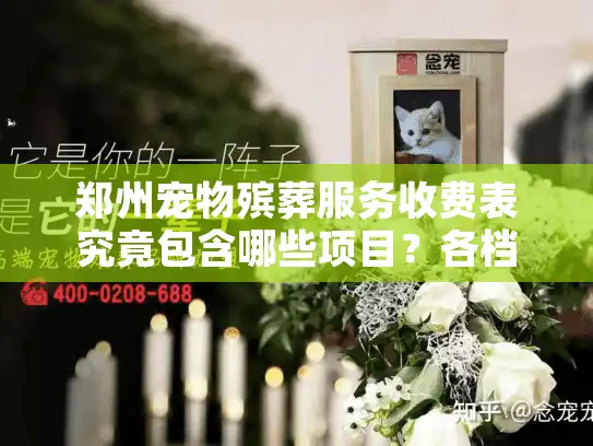 郑州宠物殡葬服务收费表究竟包含哪些项目？各档次价格差多少？