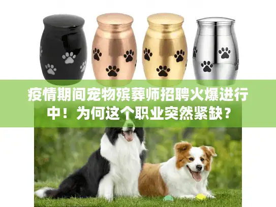 疫情期间宠物殡葬师招聘火爆进行中！为何这个职业突然紧缺？
