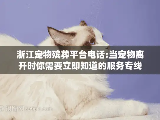浙江宠物殡葬平台电话:当宠物离开时你需要立即知道的服务专线