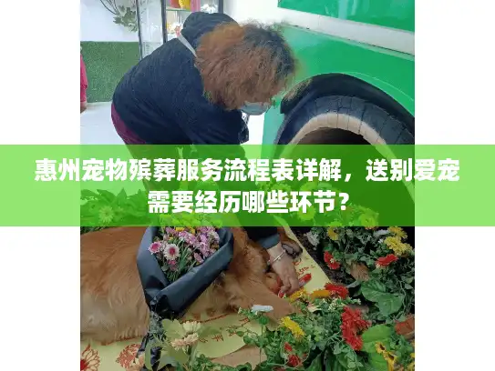 惠州宠物殡葬服务流程表详解，送别爱宠需要经历哪些环节？