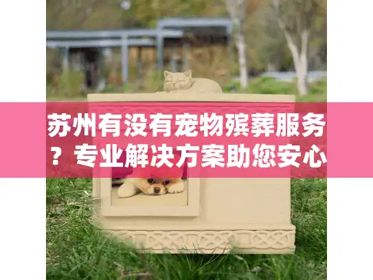 苏州有没有宠物殡葬服务？专业解决方案助您安心告别