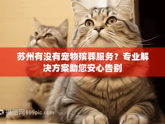 苏州有没有宠物殡葬服务？专业解决方案助您安心告别