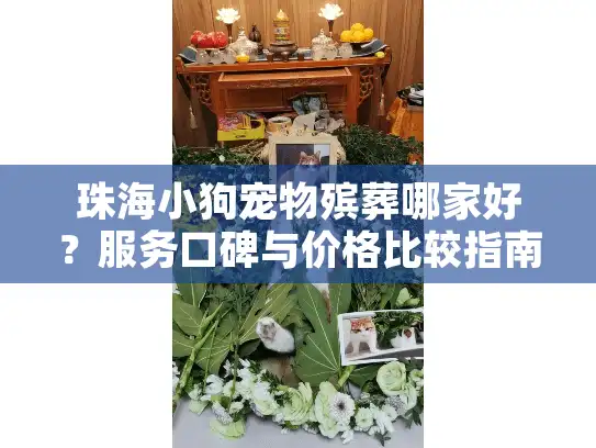 珠海小狗宠物殡葬哪家好？服务口碑与价格比较指南