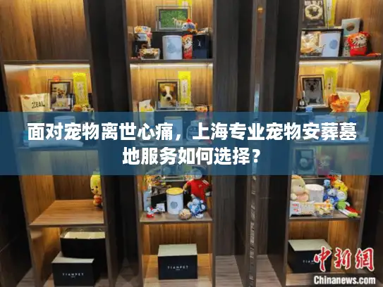 面对宠物离世心痛，上海专业宠物安葬墓地服务如何选择？