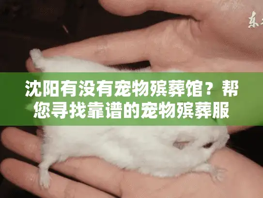 沈阳有没有宠物殡葬馆？帮您寻找靠谱的宠物殡葬服务机构