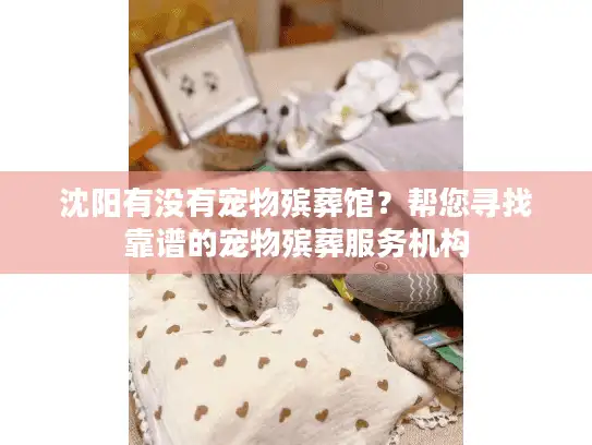 沈阳有没有宠物殡葬馆？帮您寻找靠谱的宠物殡葬服务机构