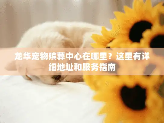 龙华宠物殡葬中心在哪里？这里有详细地址和服务指南