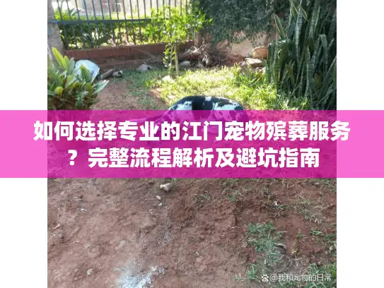 如何选择专业的江门宠物殡葬服务？完整流程解析及避坑指南