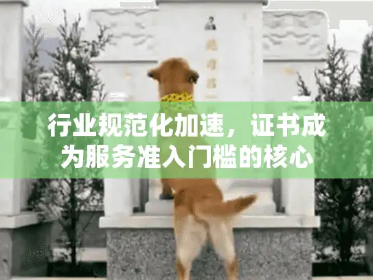 行业规范化加速，证书成为服务准入门槛的核心