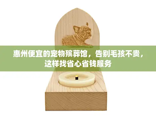 惠州便宜的宠物殡葬馆，告别毛孩不贵，这样找省心省钱服务