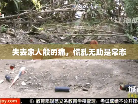 失去家人般的痛，慌乱无助是常态