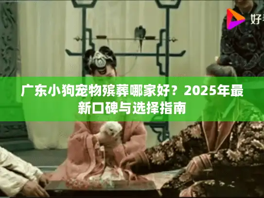 广东小狗宠物殡葬哪家好？2025年最新口碑与选择指南
