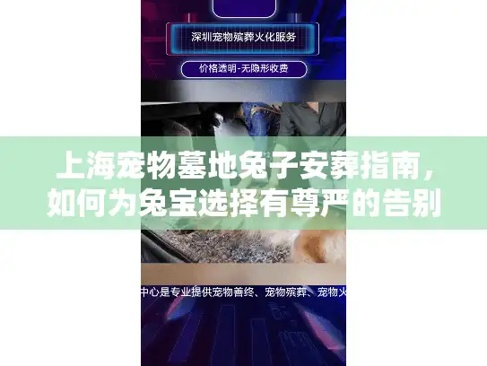 上海宠物墓地兔子安葬指南，如何为兔宝选择有尊严的告别？
