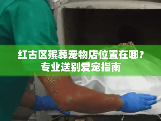 红古区殡葬宠物店位置在哪？专业送别爱宠指南