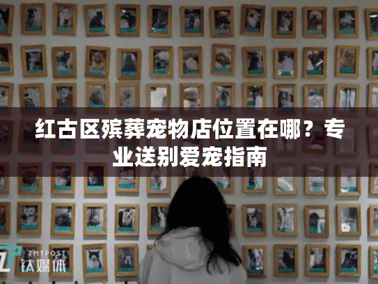 红古区殡葬宠物店位置在哪？专业送别爱宠指南