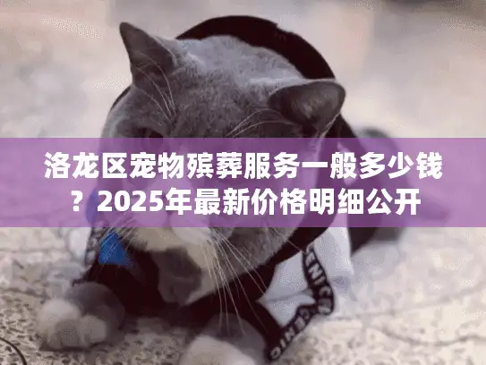 洛龙区宠物殡葬服务一般多少钱？2025年最新价格明细公开