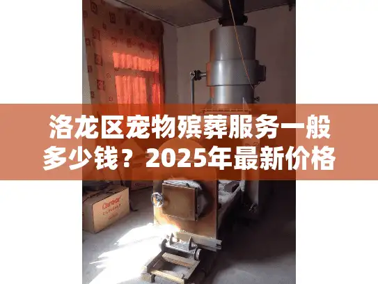 洛龙区宠物殡葬服务一般多少钱？2025年最新价格明细公开