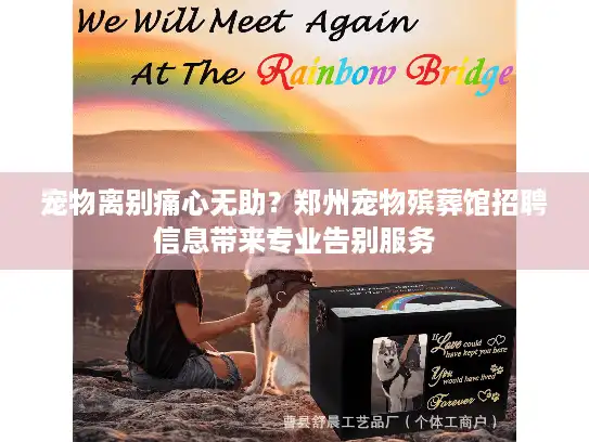 宠物离别痛心无助？郑州宠物殡葬馆招聘信息带来专业告别服务