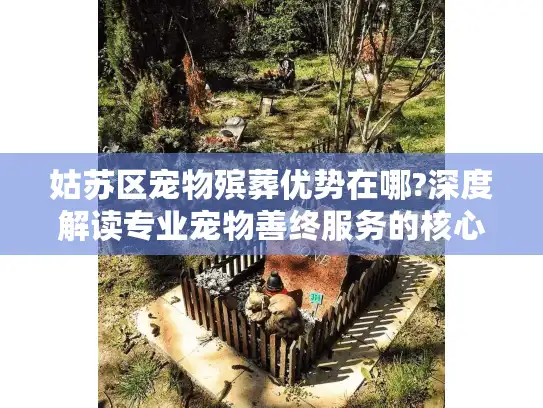 姑苏区宠物殡葬优势在哪?深度解读专业宠物善终服务的核心价值