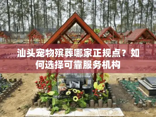 汕头宠物殡葬哪家正规点？如何选择可靠服务机构