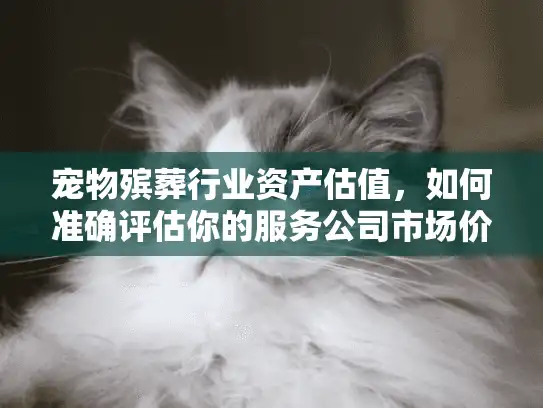 宠物殡葬行业资产估值，如何准确评估你的服务公司市场价值？