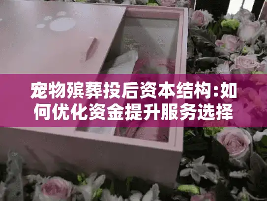 宠物殡葬投后资本结构:如何优化资金提升服务选择？