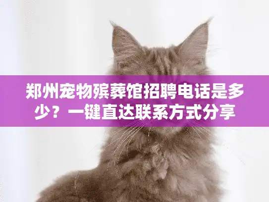 郑州宠物殡葬馆招聘电话是多少？一键直达联系方式分享