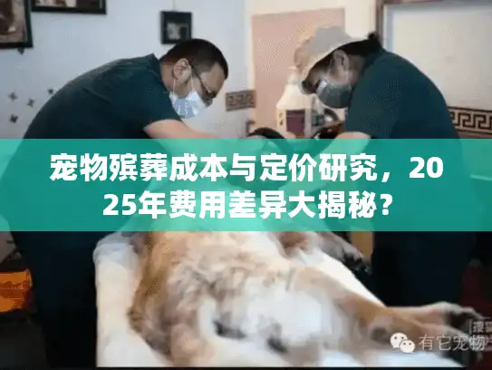 宠物殡葬成本与定价研究，2025年费用差异大揭秘？