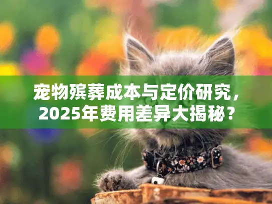 宠物殡葬成本与定价研究，2025年费用差异大揭秘？