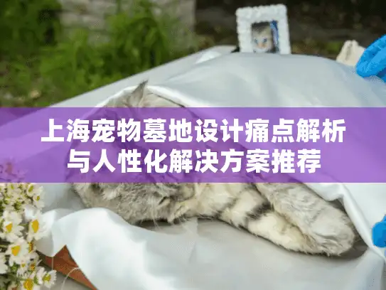 上海宠物墓地设计痛点解析与人性化解决方案推荐
