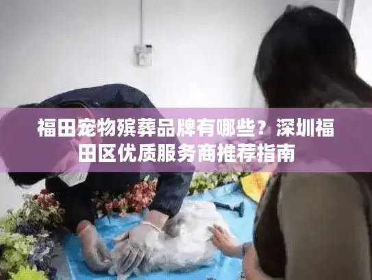 福田宠物殡葬品牌有哪些？深圳福田区优质服务商推荐指南