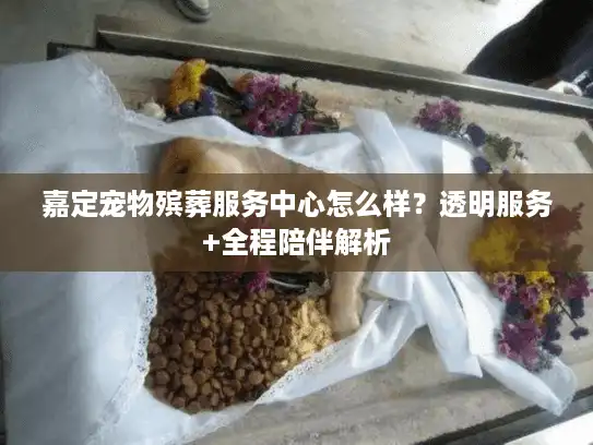 嘉定宠物殡葬服务中心怎么样？透明服务+全程陪伴解析