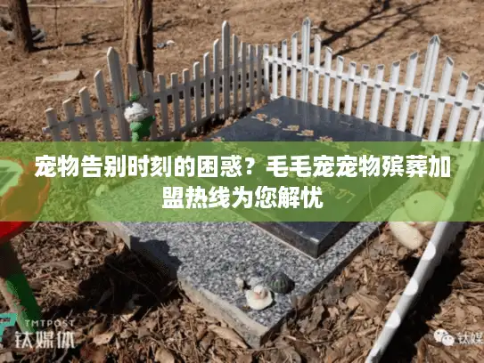 宠物告别时刻的困惑？毛毛宠宠物殡葬加盟热线为您解忧