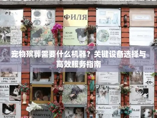 宠物殡葬需要什么机器？关键设备选择与高效服务指南