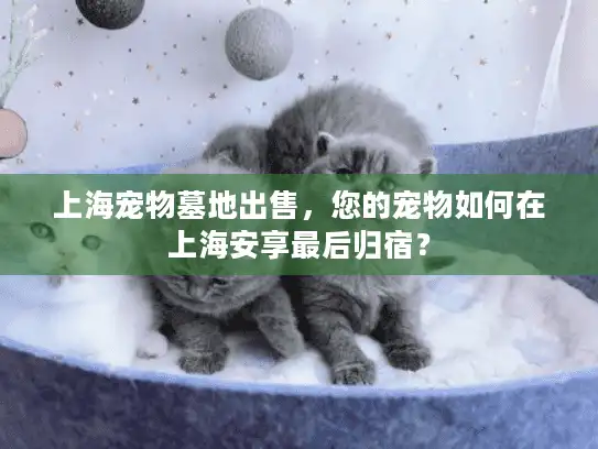 上海宠物墓地出售，您的宠物如何在上海安享最后归宿？