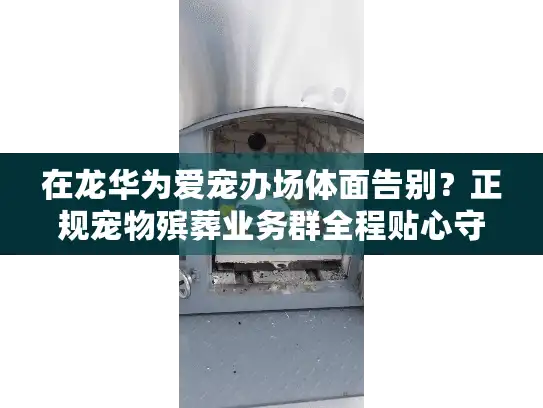 在龙华为爱宠办场体面告别？正规宠物殡葬业务群全程贴心守护